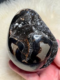 Image 8 of Septarian Egg With Calcite #2420