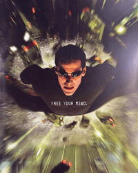 Image 11 of The Matrix (Japanese Edition) Movie Pamphlets (Set of 3)