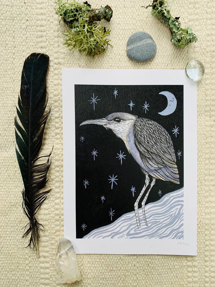 Image of Night Heron Print