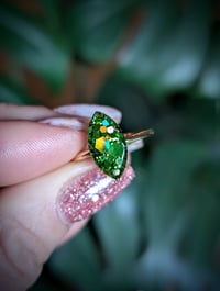 Image 2 of The Marquise 