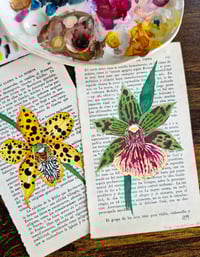 Image 4 of Life in Old Pages Botanical n.2 Zygopetalum