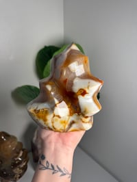 Image 8 of XL ORCA CARNELIAN FLAME -MADAGASCAR-