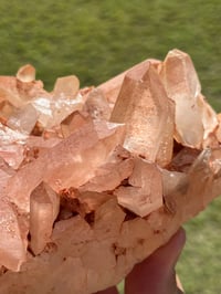 Image 14 of Pink Madagascar Quartz Cluster | Madagascar #3019