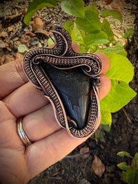 Image 1 of Megalodon Tooth Wrapped in Copper
