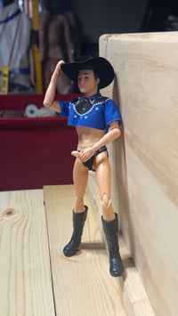 Image 2 of Adult Cowboy Gay Ken  handcrafted 