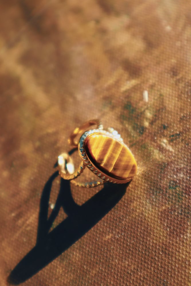Image of “Wealth Ring”