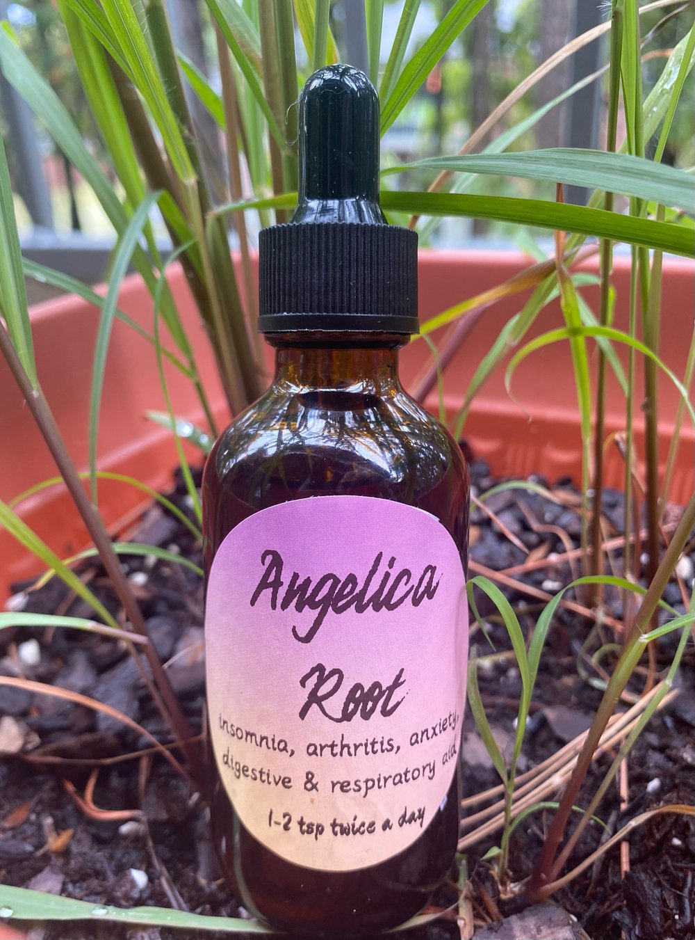 Image of Angelica Root tincture 