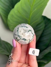 Image 7 of CHOOSE YOUR OWN MOSS AGATE SPHERE -INDIA- LOT 2