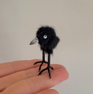 Image of Very Tiny Raven Baby #1