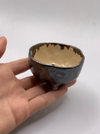 Image 4 of Kmoth cup 6