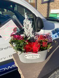 Image 9 of Christmas planter 