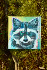 Image 1 of Trash Panda (Shelfie)