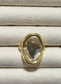 Image 1 of Shark Tooth Ring SR101