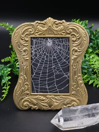 Image 1 of Vintage art nouveau brass frame with real preserved web. 