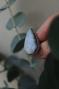 Image 1 of Silver Crescent 