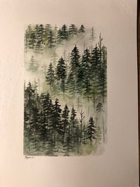 Image 1 of Misty Mountain