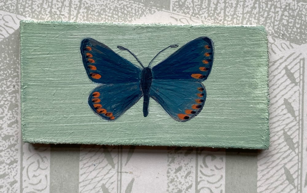 Image of Miniature Butterfly (13)