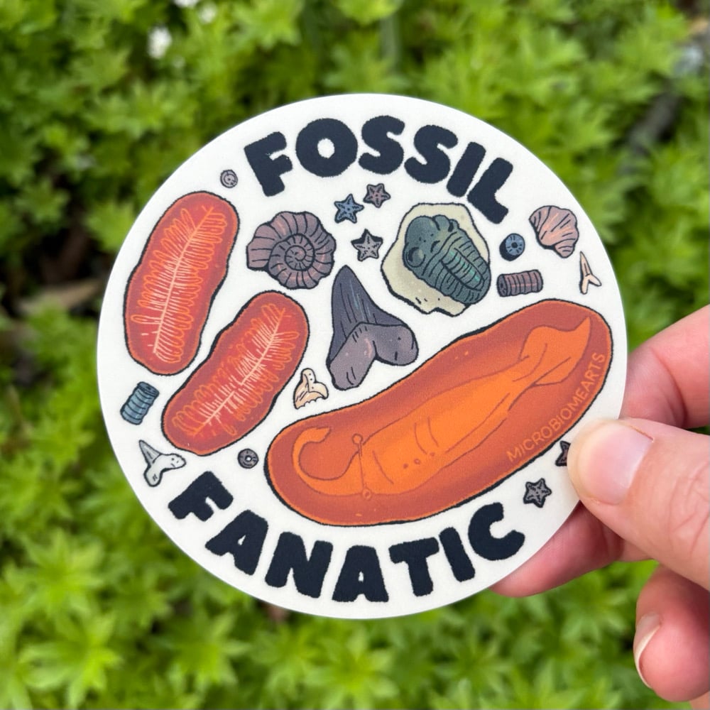Fossil Fanatic 3.5” Sticker | Microbiome Arts