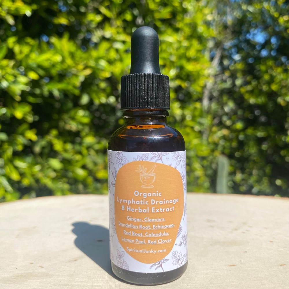 Image of Lymphatic Drainage Herbal Extract