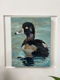 Image 1 of Ring-necked Duck Oil Painting 8x10in