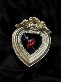 Image 1 of Opossum Heart