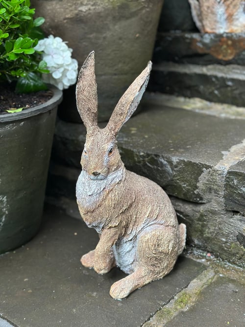 Image of Hare - Listening