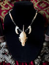 Mink Skull Pendant - Bone Necklace 