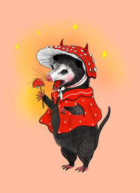 mushroom wizard possum 