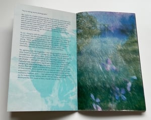 Image of Tourist Photographs