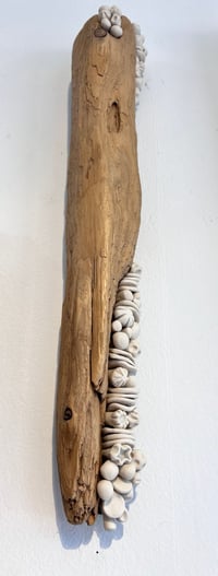 Image 4 of Renewed lll- Cara O'Brien