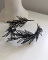 ALPINIA : BLACK