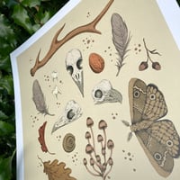 Image 2 of Woodland Offerings A3 Square Print