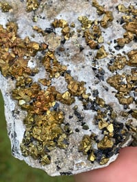 Image 5 of Pyrite, Chalcopyrite, & Sphalerite on Matrix Specimen #384