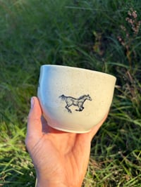 Image 6 of Wild horses