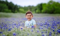 Image 5 of Texas Bluebonnet & Wildflower Mini-Session