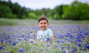 Image of Texas Bluebonnet Session - Private Property