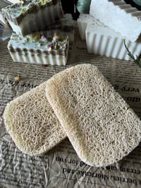 Soap Saver