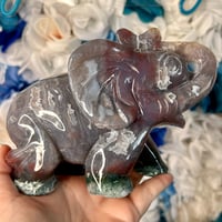 Image 3 of Ocean Jasper Elephant (120A)