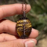 Image 1 of Tigers Eye Tree 🌳🤎