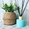 Short Urban Reed Diffuser 200ml - MATTE BLUE  **ONLY 2 AVAILABLE**