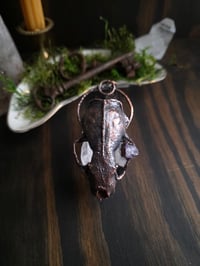 Image 2 of Mink Skull with Amethyst
