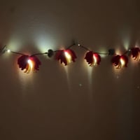 Image 1 of Coraline Bleeding Hearts Lights 