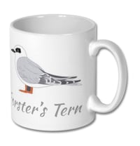 Image 1 of Forster's Tern Mug