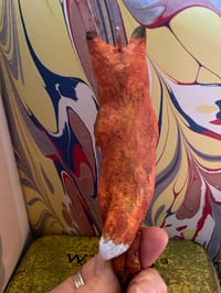 Image 3 of Ember fox and his bright star