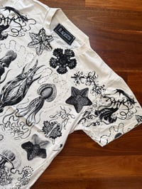Image 2 of Sea Creatures T-shirt