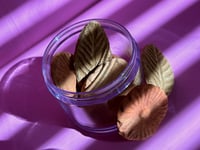 Image 5 of Flower Pot 