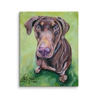Image 4 of Brown Doberman