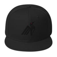 Image 1 of Black on Black Loon Ballcap
