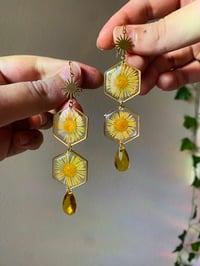 Image 2 of 🌼Daisy Nectarfall 🌼