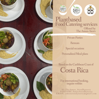 PlantBased Food Catering (Consultation)